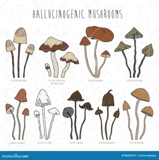 Как получить mushrooms