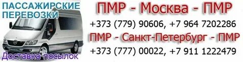 Сколько от питера до москвы на автобусе
