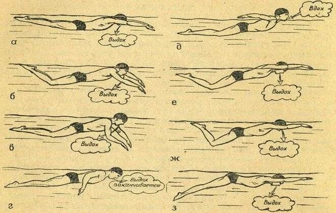 Научиться плавать самостоятельно с нуля. Кроль и брасс плавание. Техники плавания брасс Кроль Баттерфляй. Техника плавания в бассейне. Стиль плавания брасс техника.