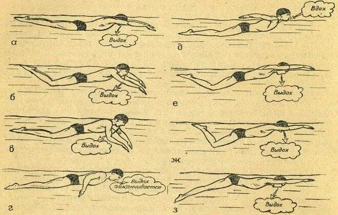 Плыть не уставая. Кроль и брасс плавание. Техники плавания брасс Кроль Баттерфляй. Техника плавания в бассейне. Стиль плавания брасс техника.