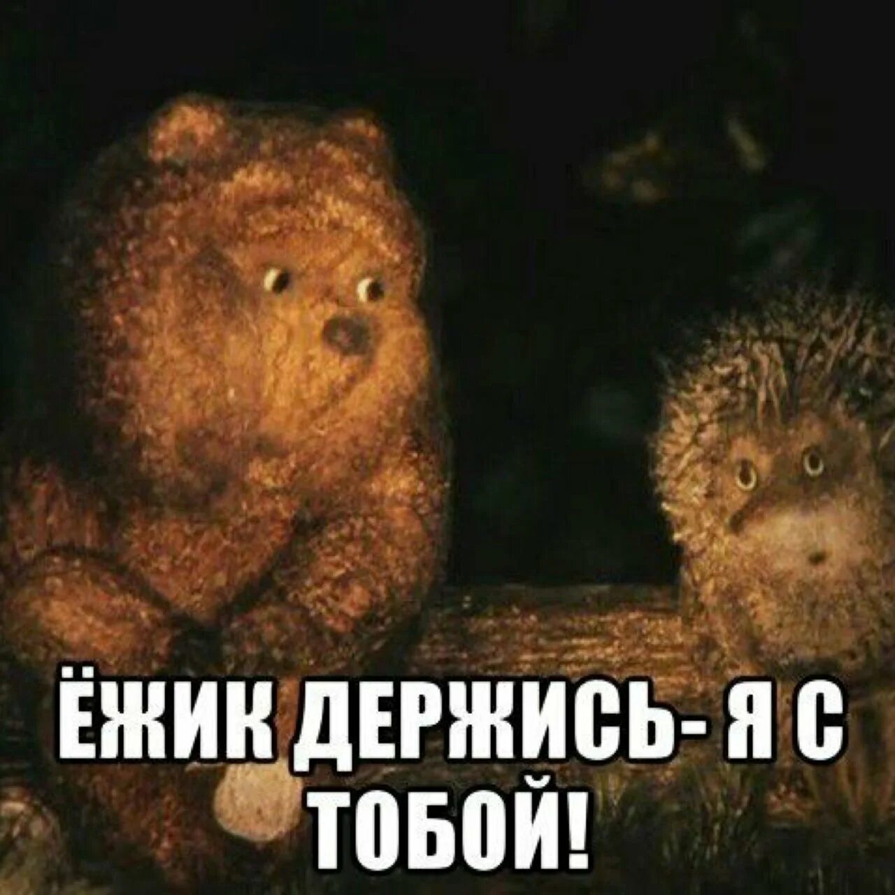А мы с тобой нет. Держись я с тобой. держись картинки. держусь картинки приколы. держитесь смешные картинки.