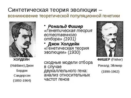Синтетическая теория биологии