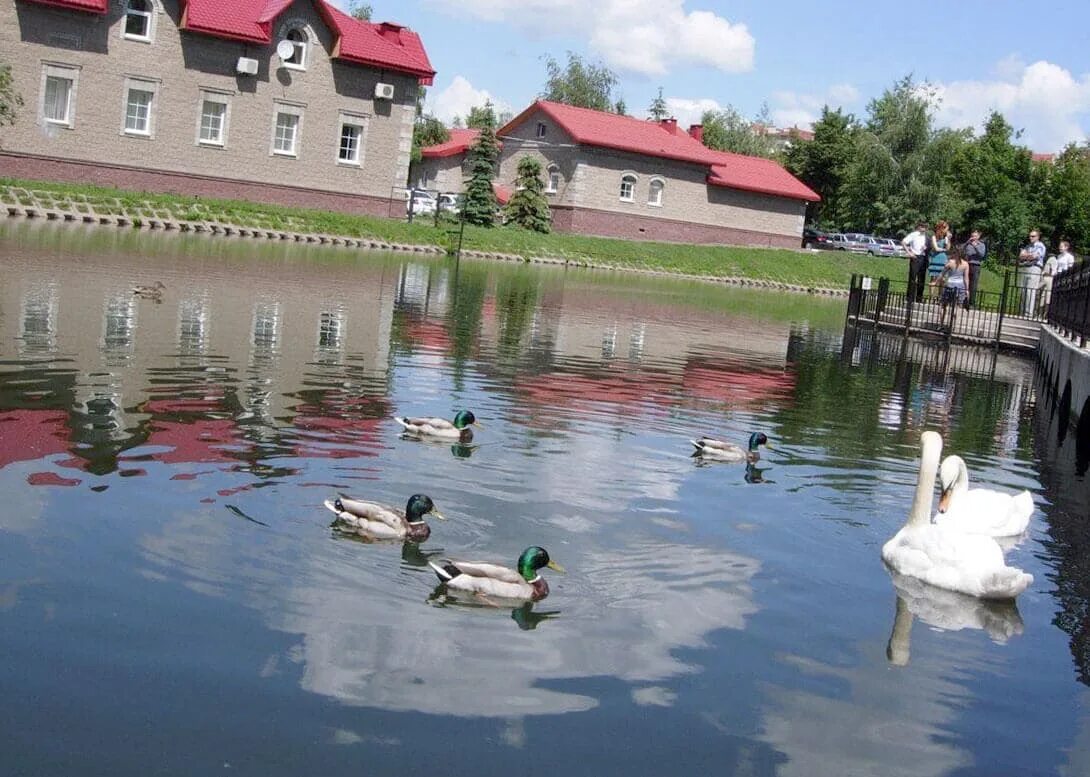 Уфа пруд Аксакова. Парк Аксакова пруд. Лебеди в саду Аксакова Уфа. Сад Аксакова Уфа реконструкция.