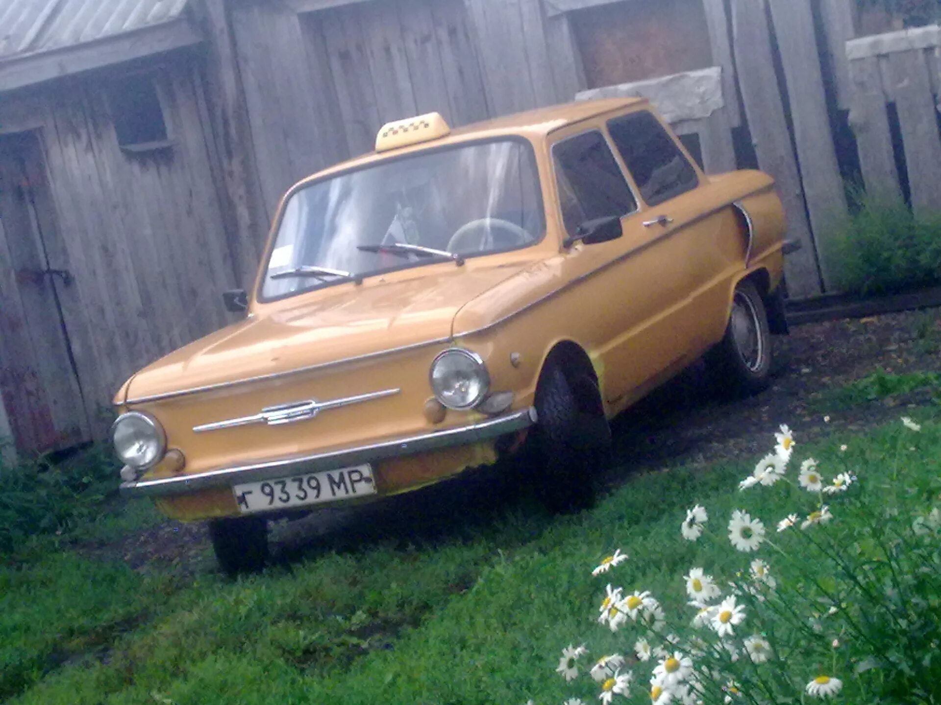Заз-966 «запорожец». Заз 968м новый. Запорожец 968 2022. Автомобиль заз 968м. Заз 968 новый.