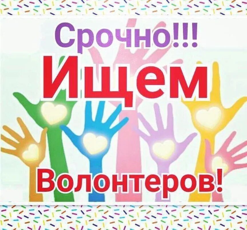 Ищем добровольцев. Ищем волонтеров. требуются волонтеры. срочно ищем волонтеров. срочно требуется волонтер.