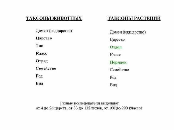 Домен таксон. Последовательность таксонов растений и животных. Систематика таксонов растений и животных. Последовательность таксонов в систематике растений и животных. Таксоны растений таблица.