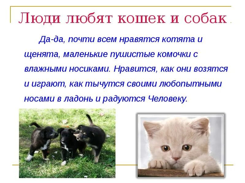 Почему кошка любимое животное. Люди, которые не любят кошек и собак. Кошка любит человека. Почему люди так любят кошек. Характер людей любящих кошек.