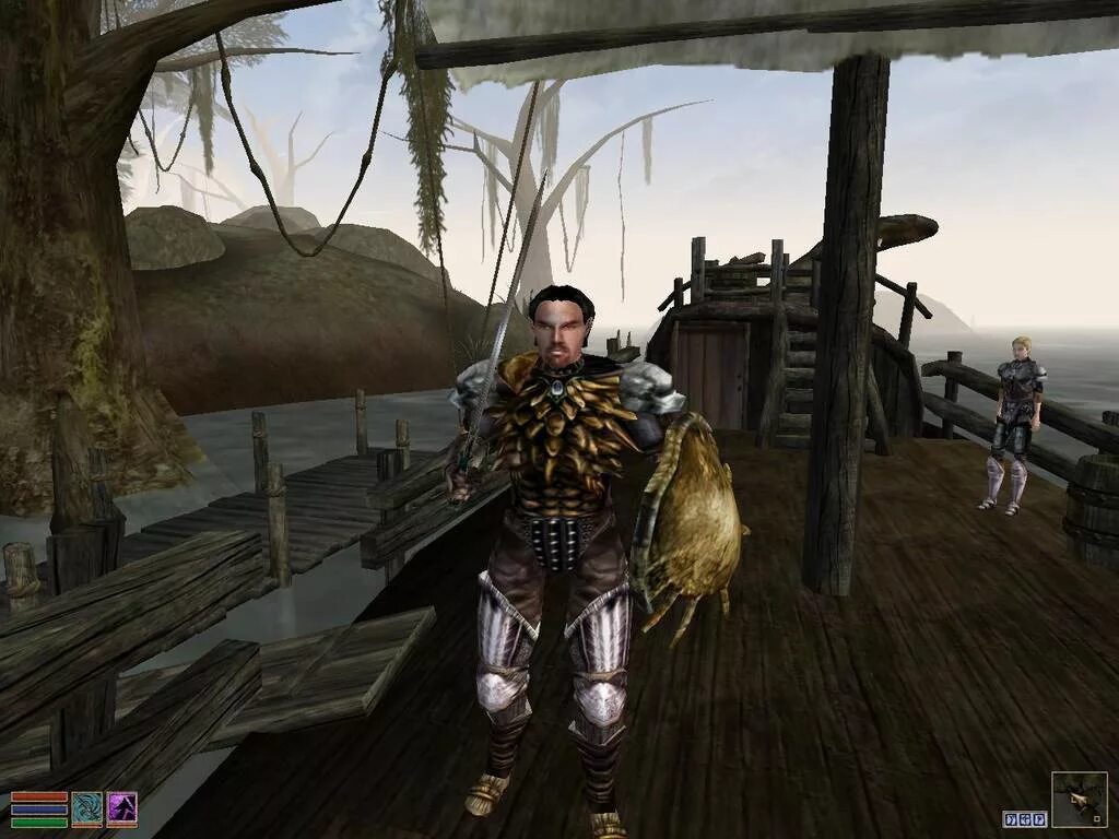The elder scrolls morrowind. Игра the Elder Scrolls 3. The Elder Scrolls 3 Morrowind. The Elder Scrolls III: Morrowind игра. The Elder Scrolls 3: Morrowind 2002.