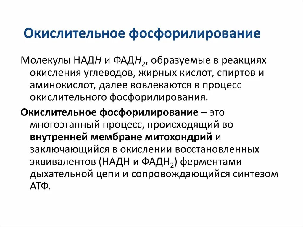 Фосфорилирование биохимия. Роль окислительного фосфорилирования. Окислительное фосфорилирование биологическая роль. Функции окислительного фосфорилирования. Механизм окислительного фосфорилирования биохимия схема.