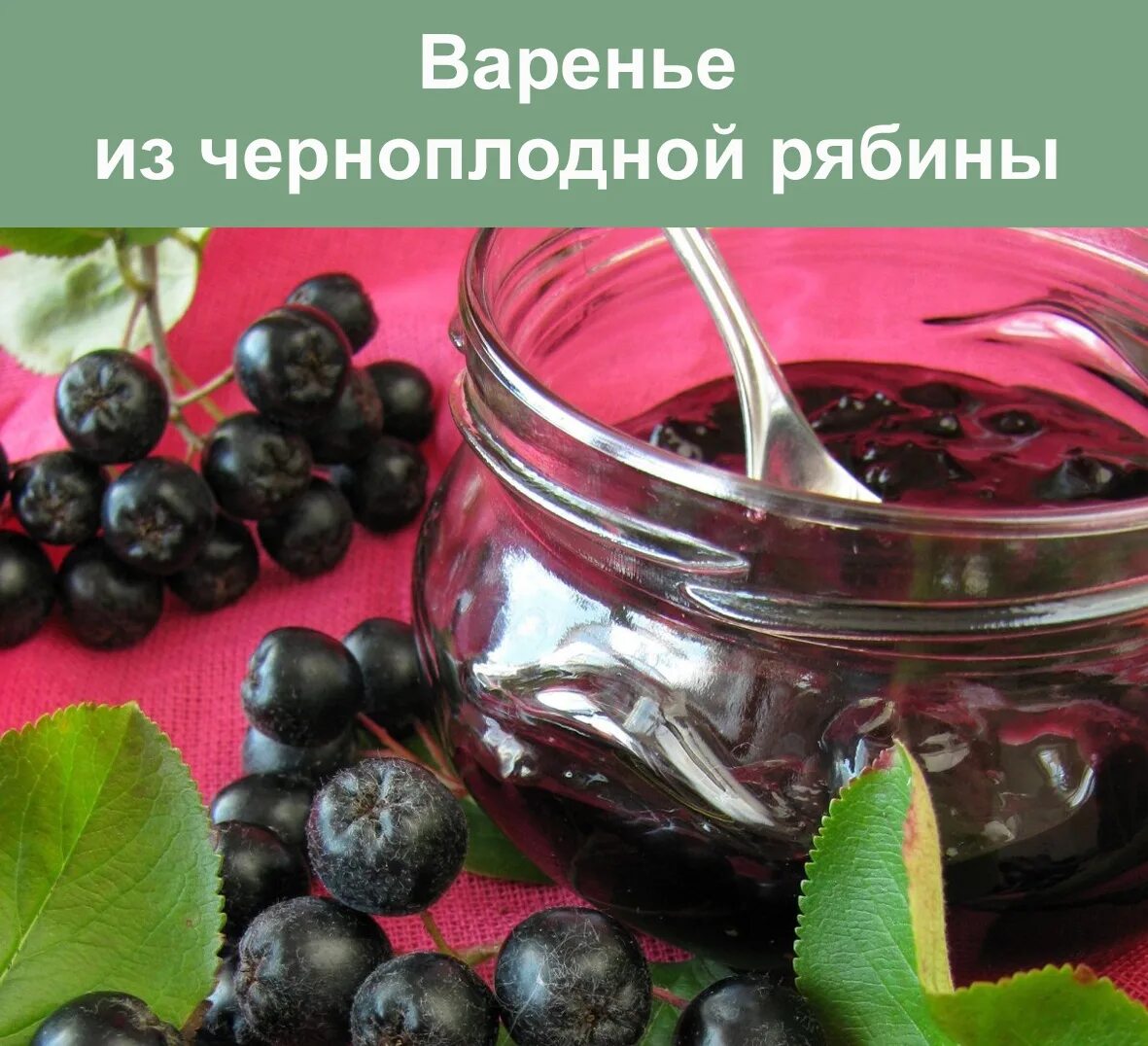 Когда собирать черноплодную рябину в каком месяце. Когда собирать черноплодную рябину в каком месяце
