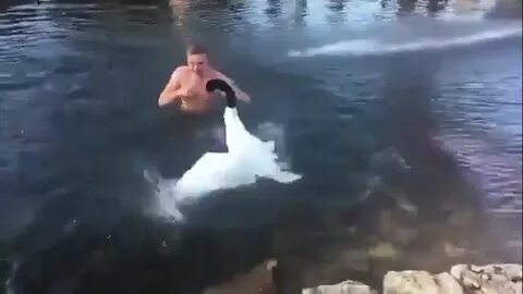 Плавала в пруду ей карась заплыл
