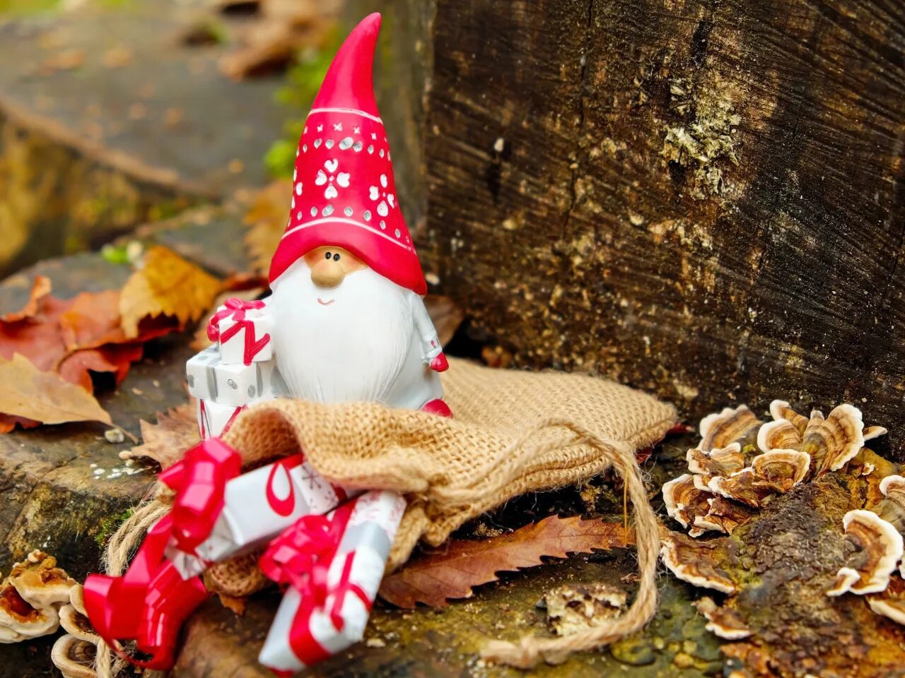Новогодние гномики. Гном символ нового года. Эльфы санта клауса. Гном елочная игрушка с ногами длинные. Гномы мультяшные.