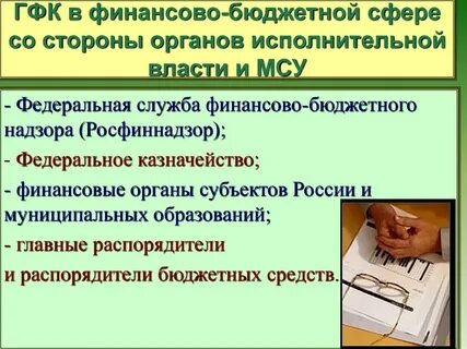 Государственный финансовый контроль служба