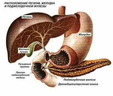 Ночью болит поджелудочная железа