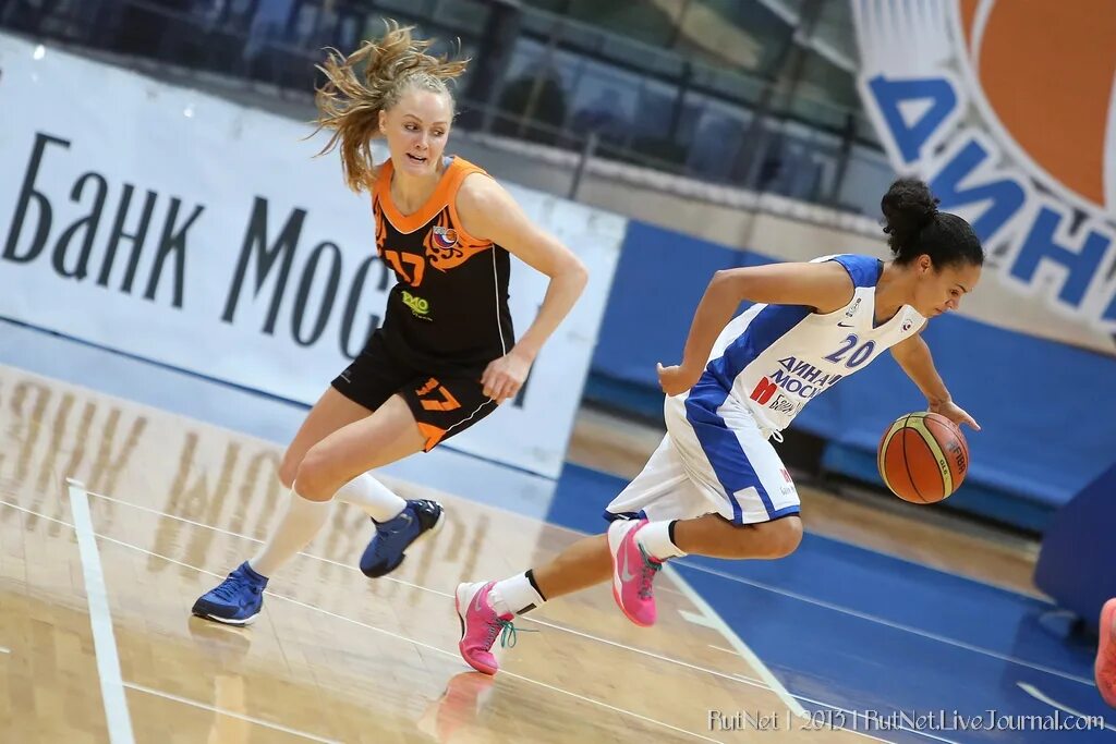 динамо женский баскетбольный клуб. динамо москва баскетбол логотип. жбк динамо москва баскетбол. жбк динамо москва. бк динамо логотип.