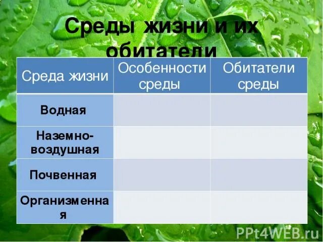 Условия в разных средах жизни. Среды жизни и их обитатели. среды жизни биология. обитатели разных сред жизни таблица. среды жизни по биологии 5 класс.