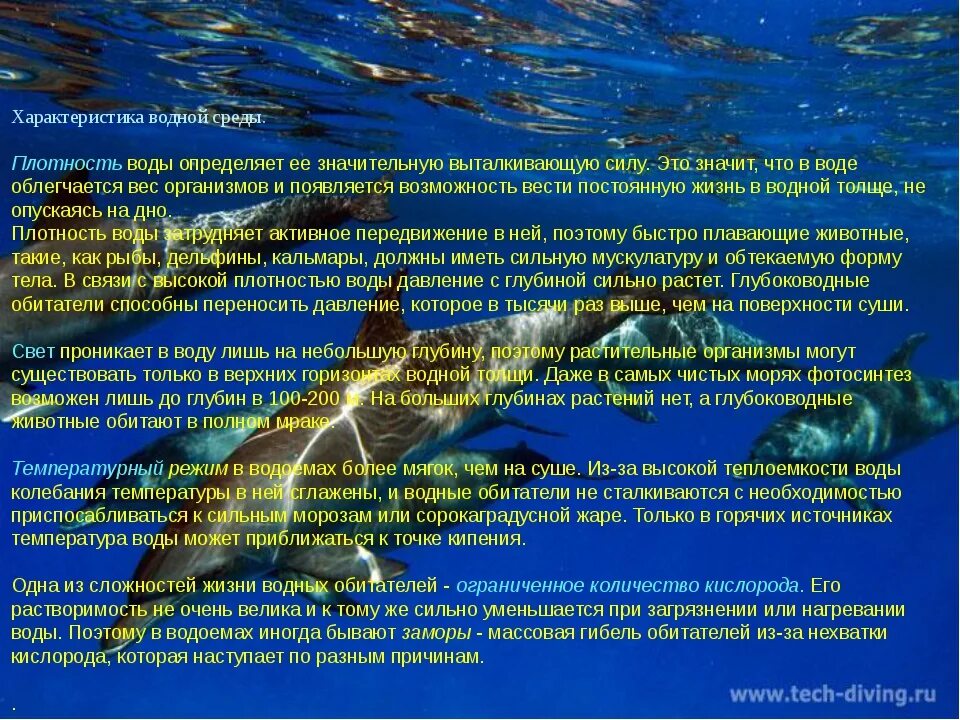 Характеристика водной среды. Особенности водных организмов. Проект про водных обитателей. Водная среда обитания характеристика. Биология 5 класс водная среда обитания доклад