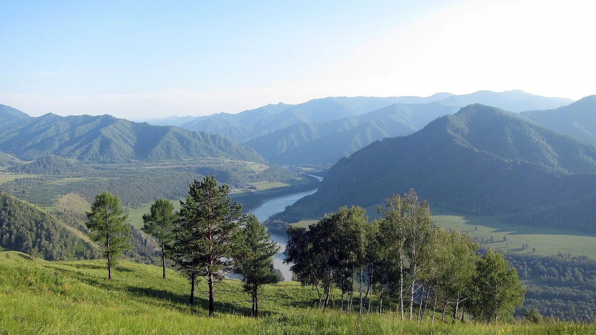 Горно алтайская область. Алтайский край горный Алтай природа. Горно Алтайск Уймонская Долина. Гора Салоп горный Алтай. Саяны Долина Алтайский край.