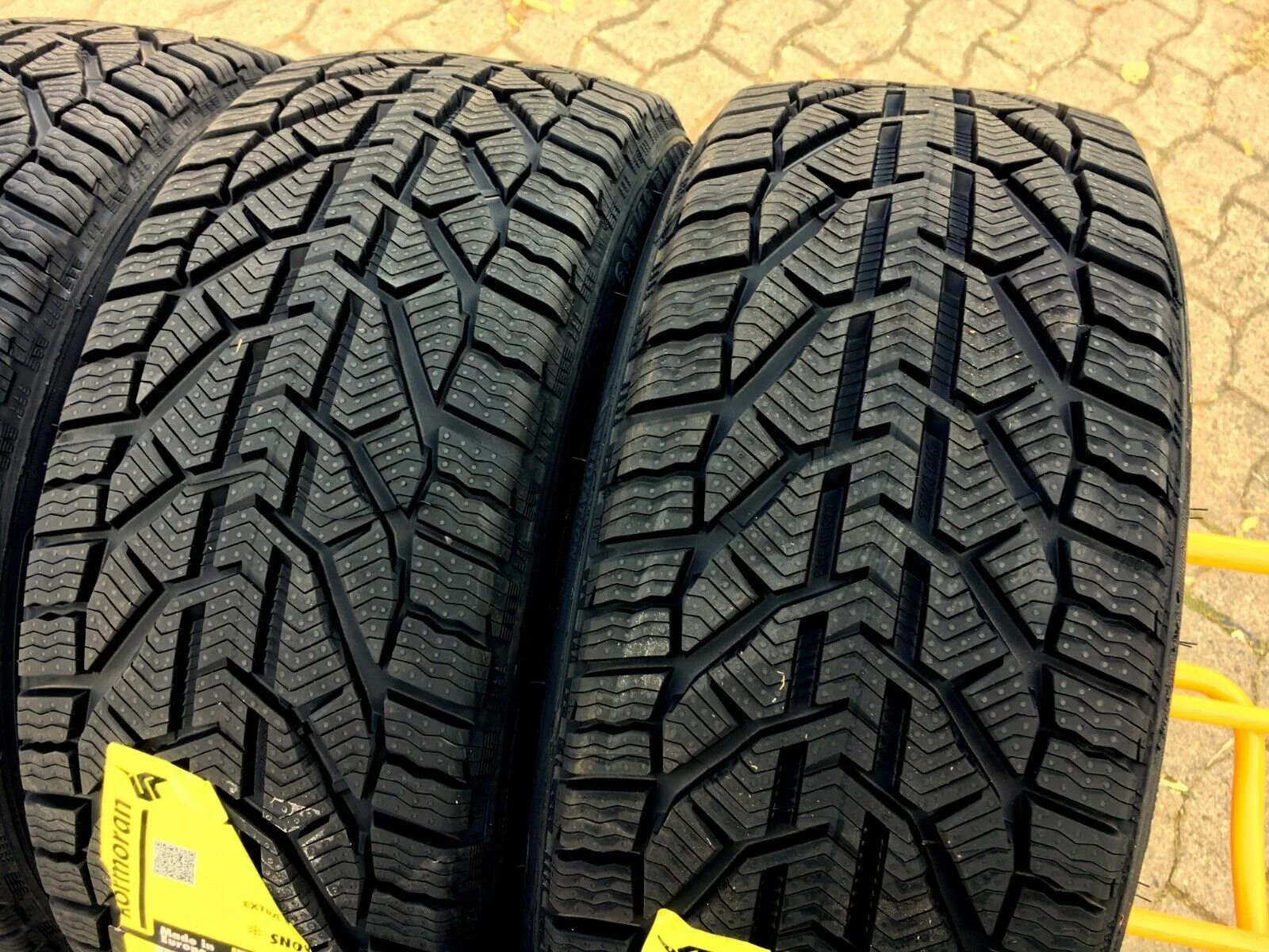 Tigar suv winter