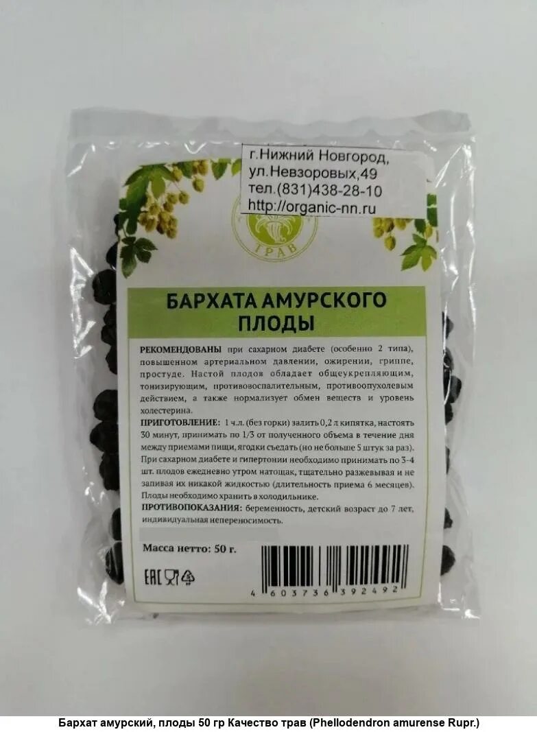 Бархат амурский ягоды применение. Амурский бархат ягоды. Луб бархата амурского. Амурский бархат ягоды лечебные. Луб бархата амурского.