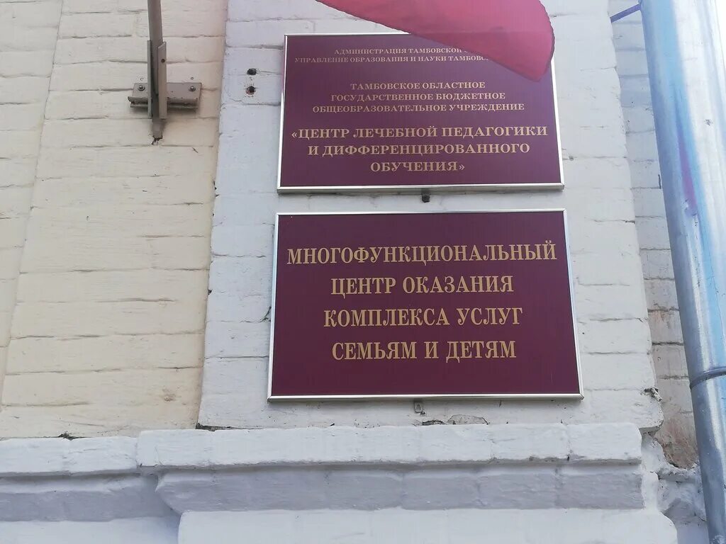 Тогбоу центр лечебной педагогики и дифференцированного обучения. Самарская 9 тамбов. Центр дифференцированного обучения тамбов лечебной. Центр лечебной педагогики и дифференцированного обучения тамбов. Опсеница бисерка цлп.