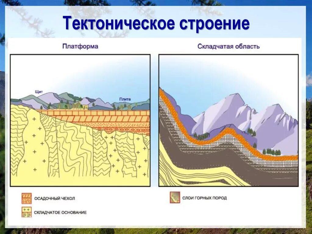 Тектонические структуры земной коры схема. Тектонические структуры складчатые области. Строение платформы. Схема строения платформы.