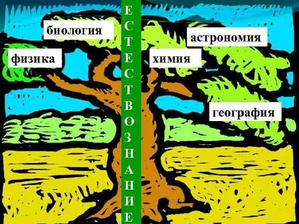 Физика в биологии