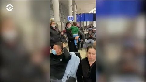 В аэропорту домодедово мигрантов ведут на депортацию