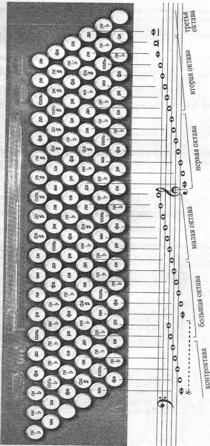 Схема кнопок правой клавиатуры баяна. Клавиатура 2 Октава аккордеона. Левая клавиатура выборного баяна схема. Гармонь Чайка 2 левая клавиатура. Аккорды на баяне правая