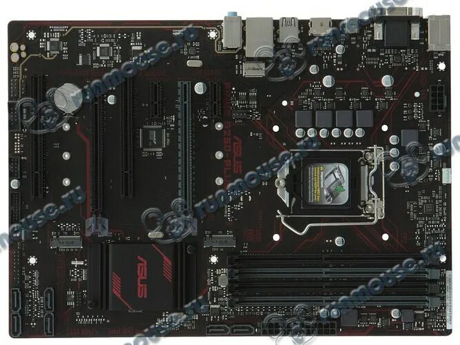 ASUS Prime b250-Plus. B250m ASUS 1151 PTKTSQ. ASUS Prime b250 Plus (2 PCI). ASUS Prime b250m-Plus 4xddr4.