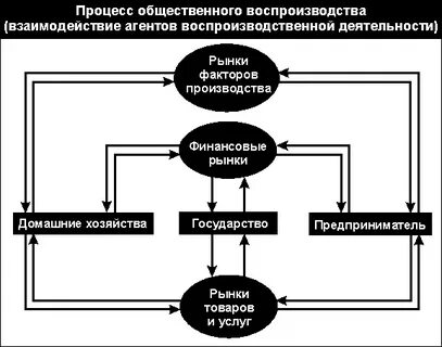 Образование в системе общественного воспроизводства