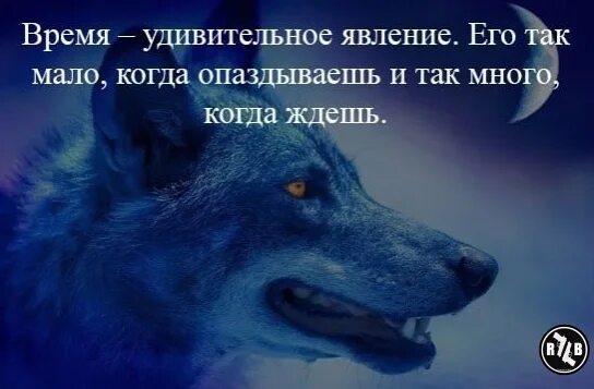 Силен спокоен и. Спокойствие сильнее эмоций. Спокойствие сильнее эмоций молчание. Молчание громче крика.