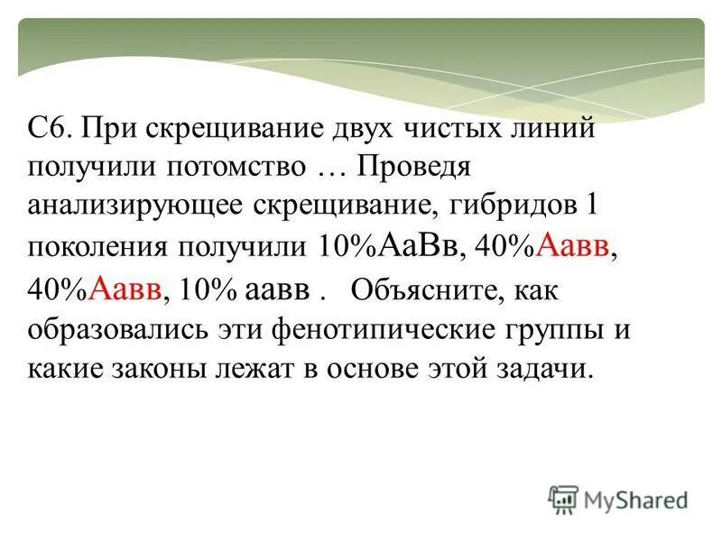 Скрещены две чистые линии. При скрещивании чистых линий в первом поколении. Скрещены две чистые линии. Две чистые линии. Скрещивание растений чистых линий.