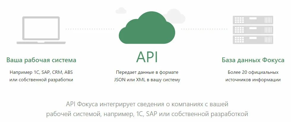 1с работа с api. Api контур фокус. как работает api. api формат. задачи контур фокус.