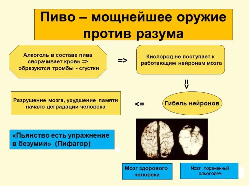 Почему пиво вредно. Как пиво влияет на организм.