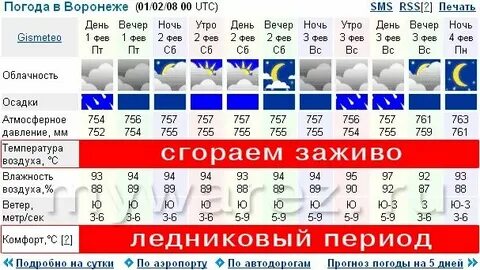 Гисметео воронеж сегодня по часам