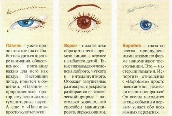Глаз изучение. Формы глаз. Описание мужских глаз. Глаза мужские. Красивые мужские глаза.
