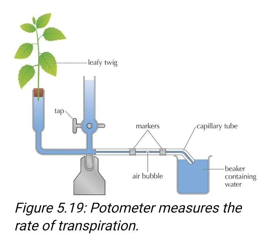 Experiments can be