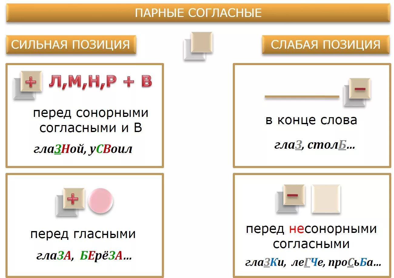 Согласные в слабой позиции. Слабая позиция согласных. Парные по глухости-звонкости согласные звуки в слабой позиции. Парные согласные по звонкости и глухости в слабой позиции.