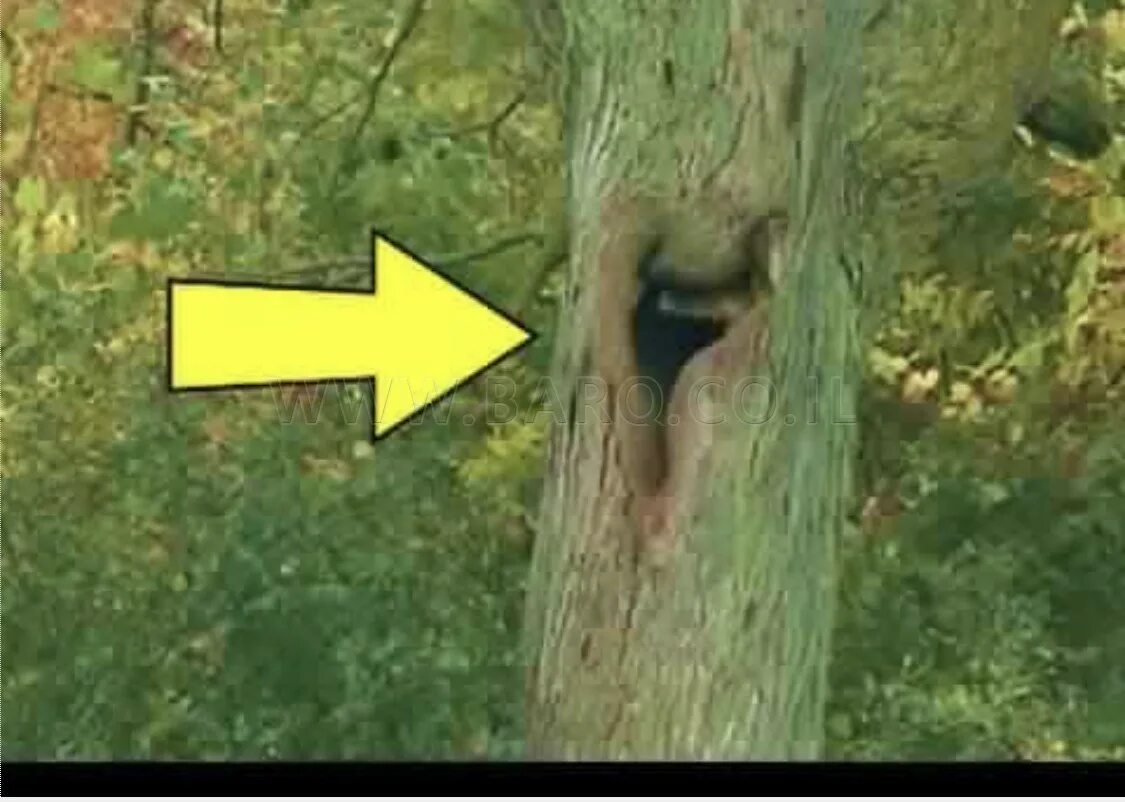 Страшные звуки для пранка громкие. Очень, очень страшные звуки. Самые страшные звуки в мире. Страшные звуки страшные звуки. Самые страшные звуки в мире.