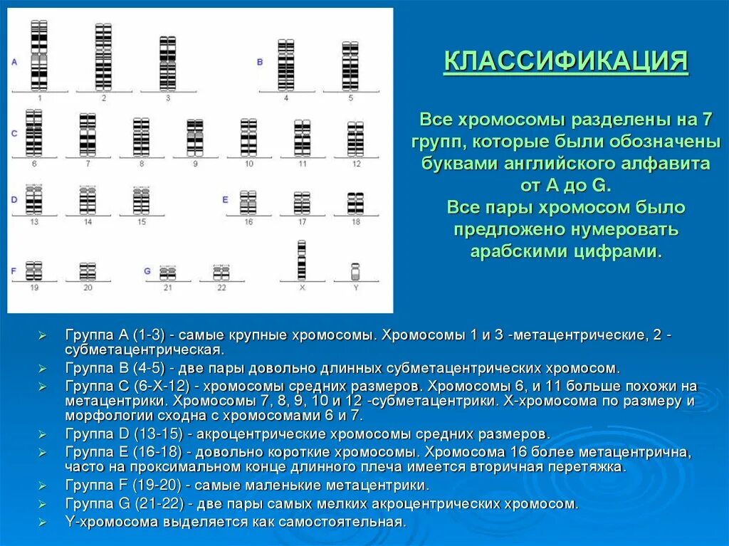 Изменение числа отдельных хромосом