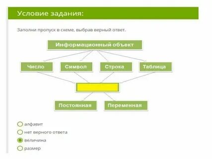 Заполни пропуски в схеме выбрав правильный ответ