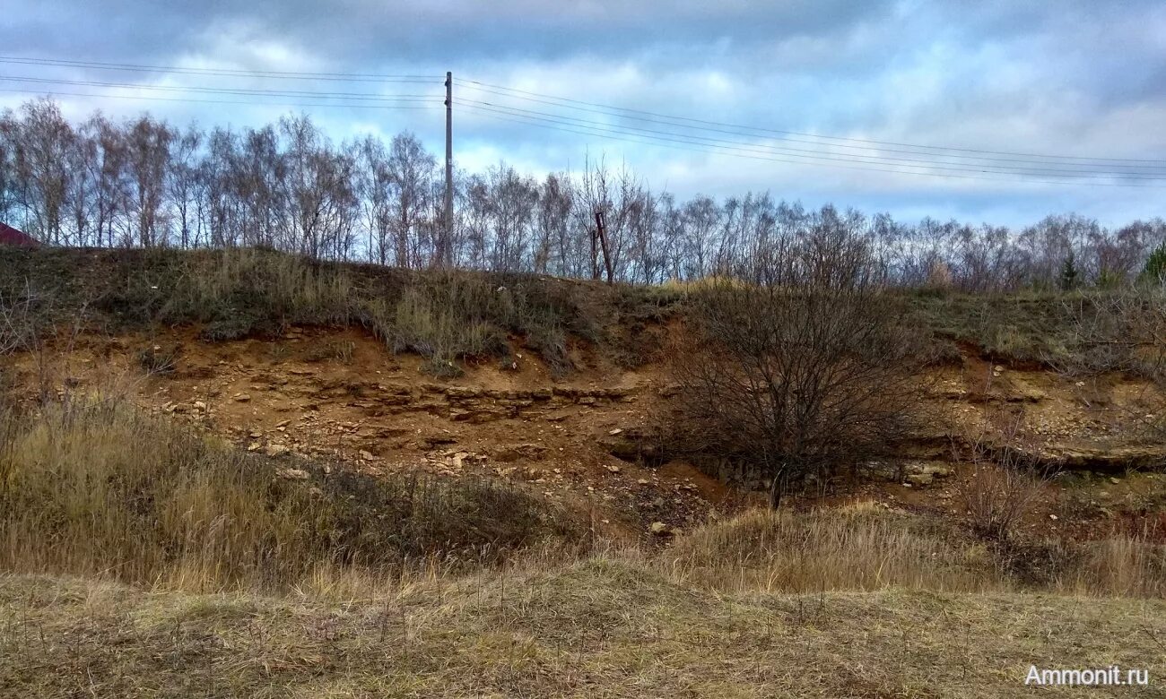 Стратотип. Гжельский ярус каменноугольной. Гжельский стратотип. Гжельский стратотипический разрез. Стратотип Гжельского яруса каменноугольной системы.