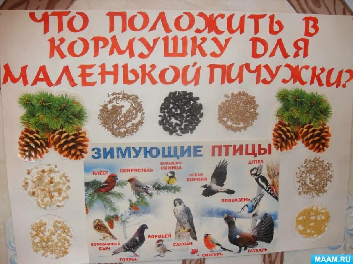 Акция Накорми птиц зимой. Акция поможем птицам перезимовать в ДОУ. Акция Покормите птиц зимой. Акция Покорми птиц зимой в ДОУ.