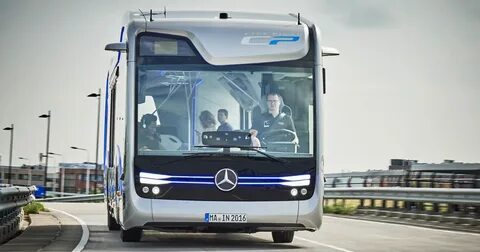 Bus science