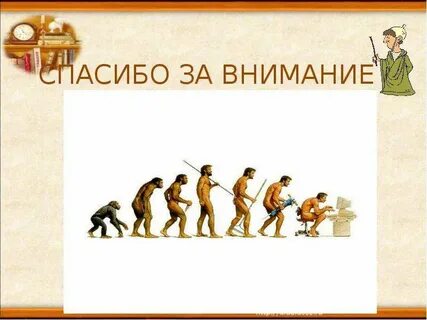 История эволюции презентация