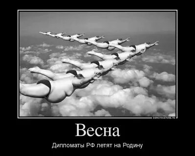 Возвращайся на родину