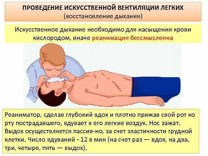 Слышны были мерное дыхание спящих