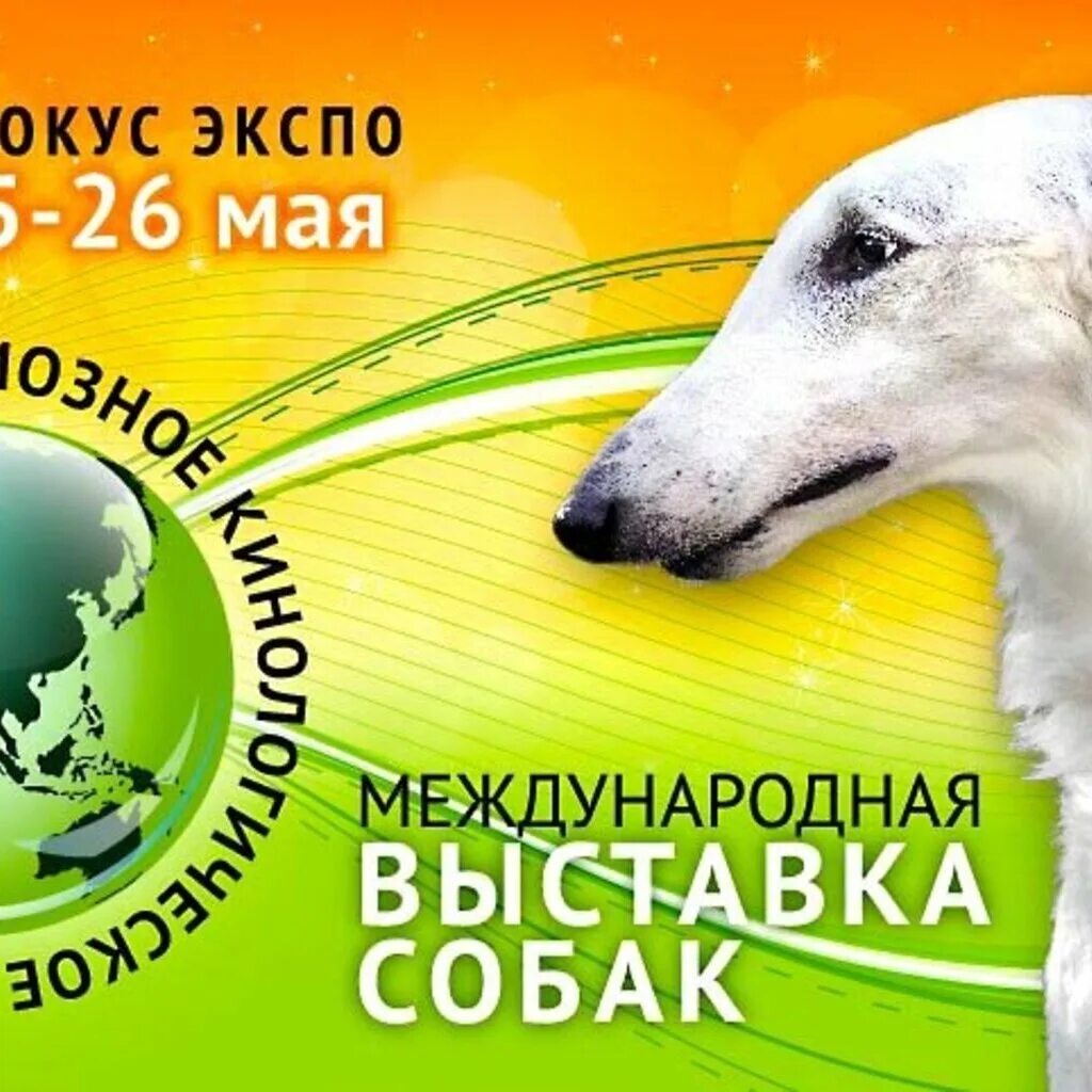 На выставке собак. Приглашение на выставку собак. Международная выставка собак. Интернациональная выставка собак.