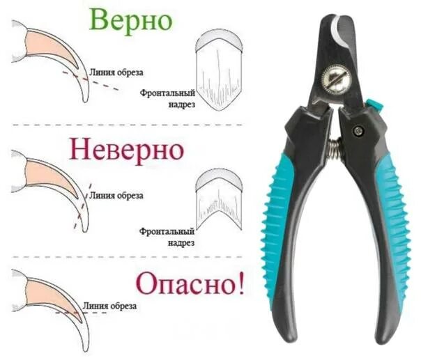 Как правильно обрезать когти собаке в домашних условиях. Правильно стричь когти собаке когтерезкой. Как обрезать ногти щенку. Схема подстригания когтей у собак. Какие опасности могут подстригать
